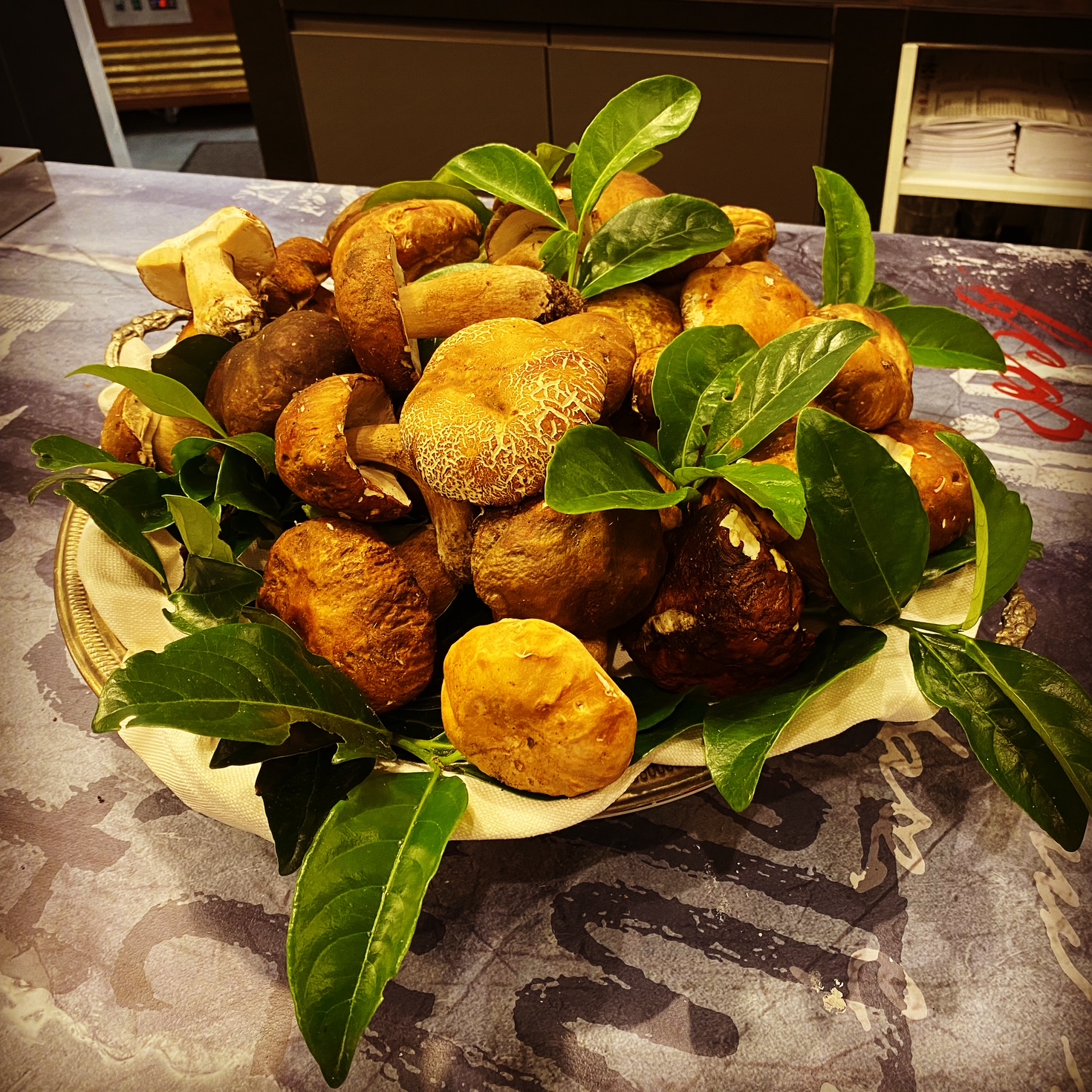 funghi freschi